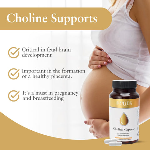 The Choline Capsule