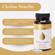 The Choline Capsule